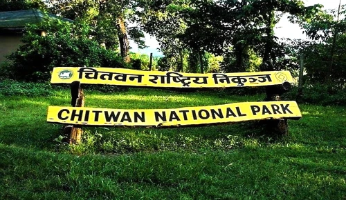Best Season to Visit Chitwan National Park for Wildlife Lovers