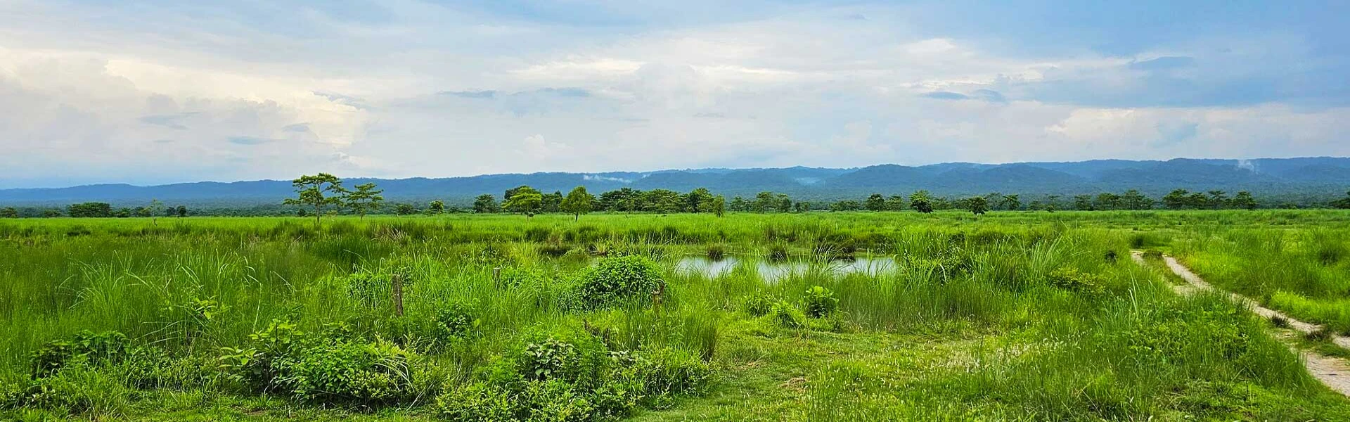 Top 7 Adventure Activities in Chitwan National Park of Nepal