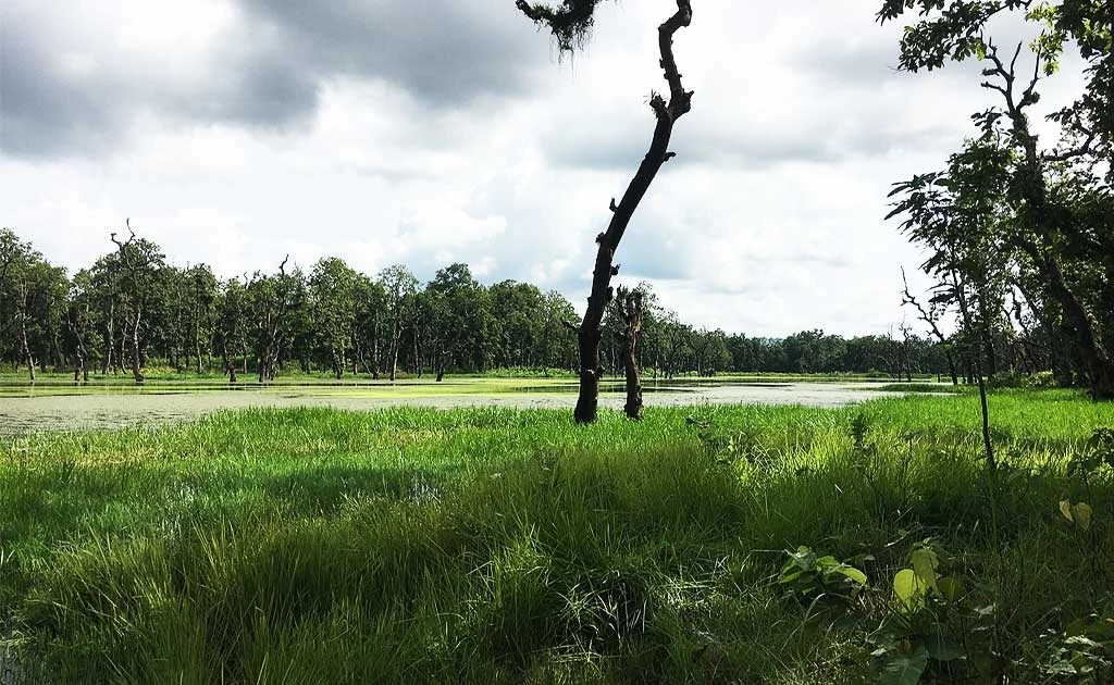 Bharatpur travel Guide