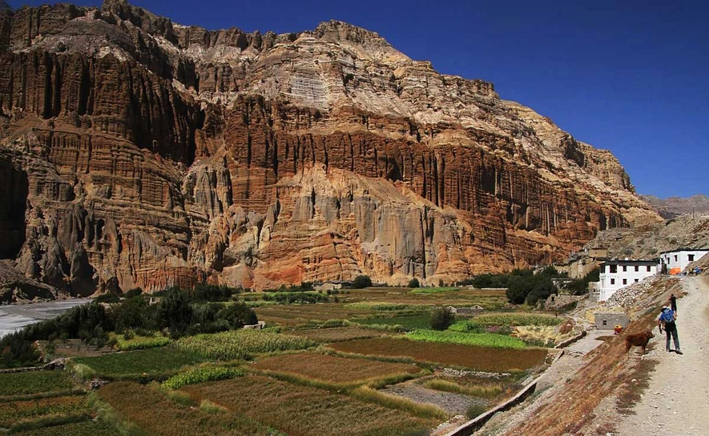 Chhusang Village Travel Guide