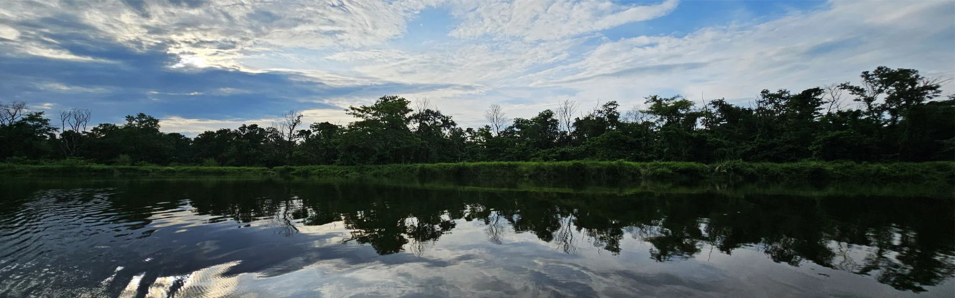 Best Season to Visit Chitwan National Park for Wildlife Lovers