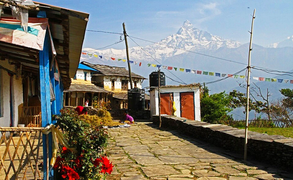 Dhampus Village Travel Guide