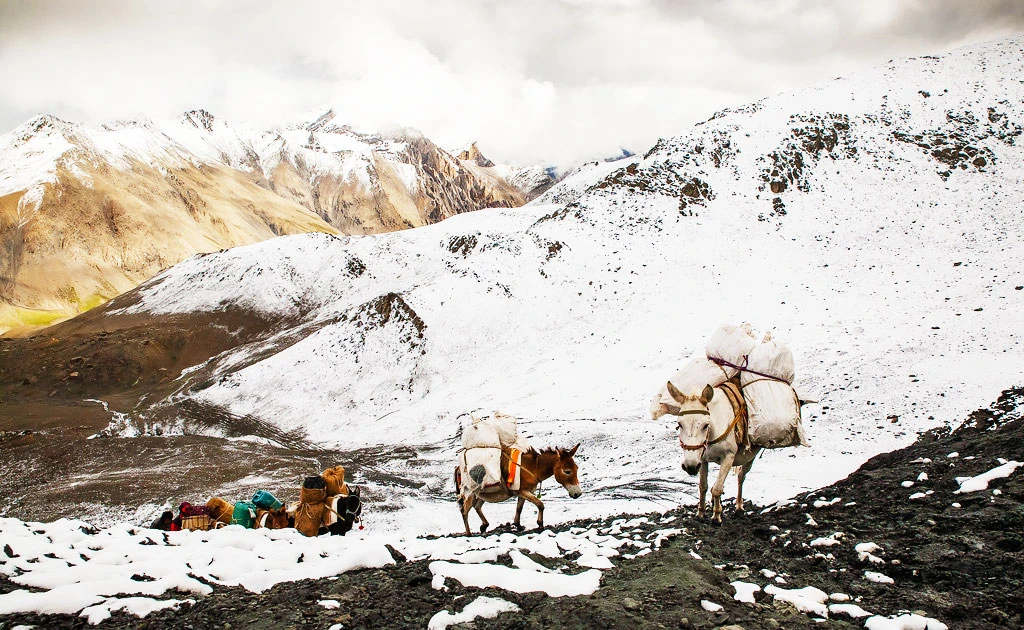Kang La Pass Travel Guide