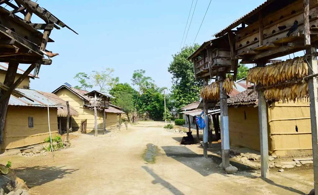 Sauraha Travel Guide