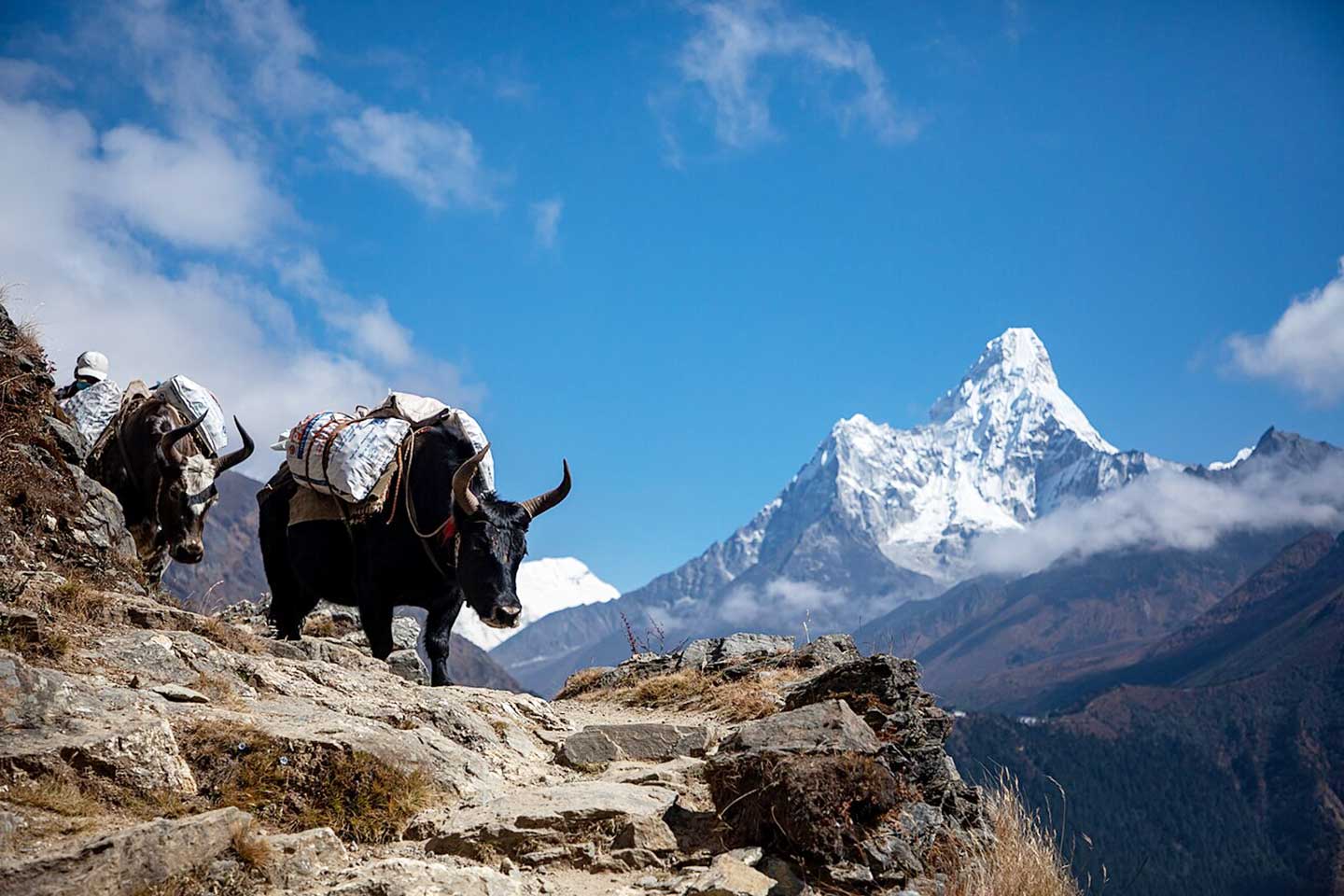 Mount Ama Dablam