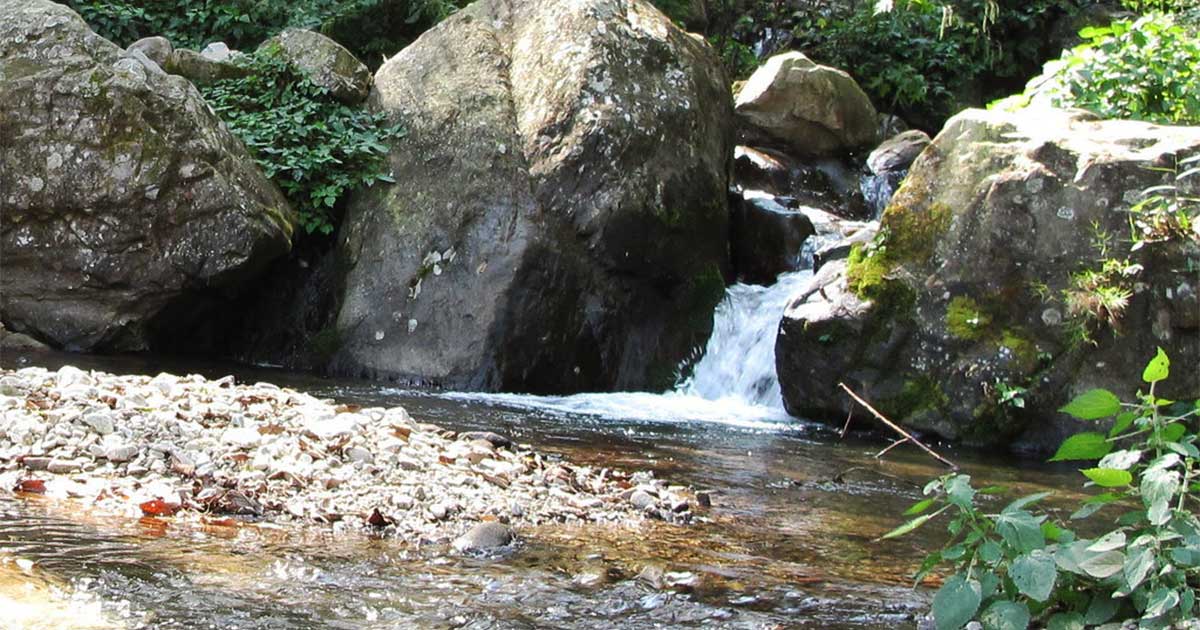 Hidden Waterfalls During Helambu Trek
