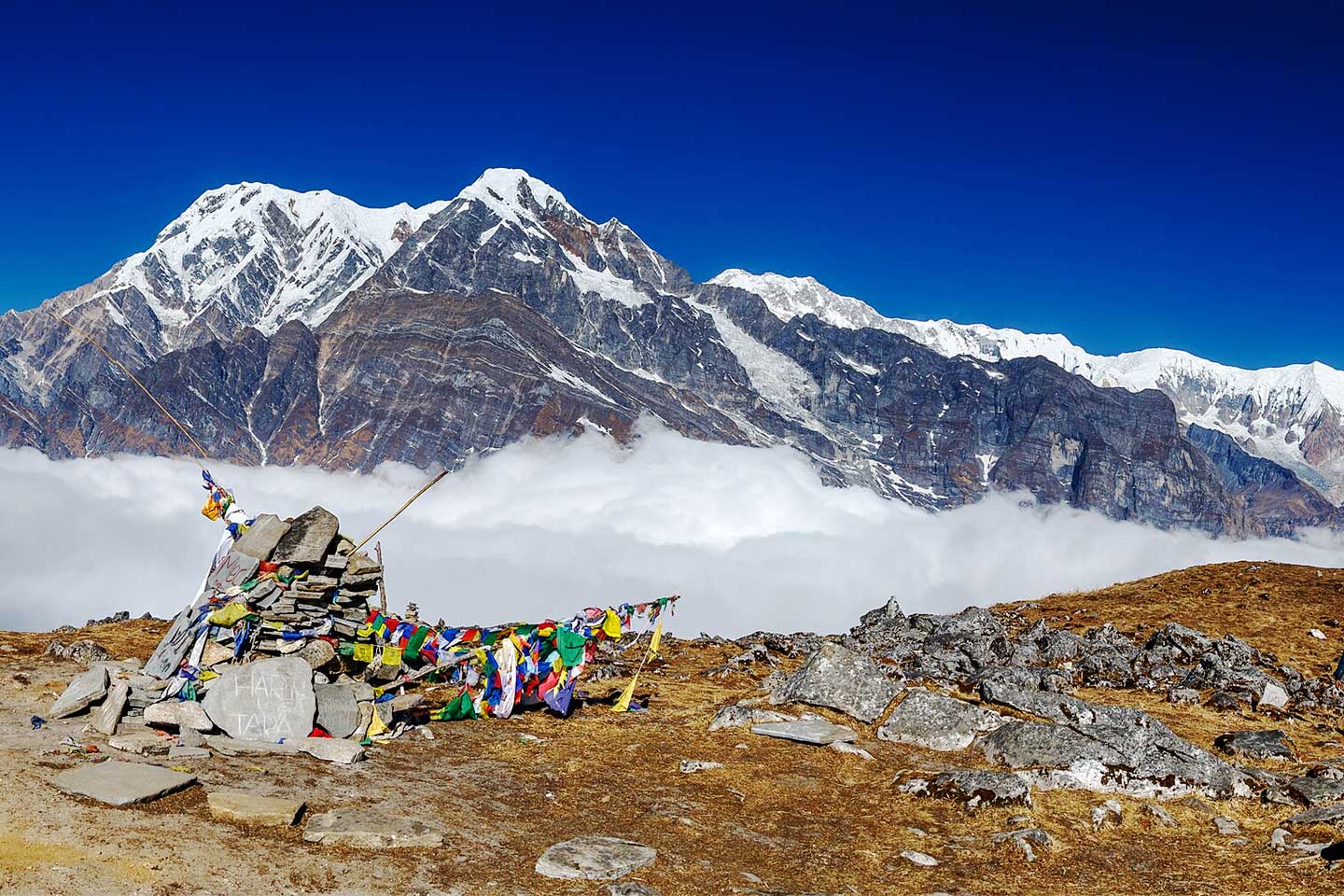 Mardi Himal Base Camp