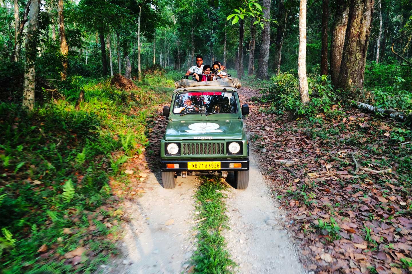 Jeep Safari in Chitwan National Park