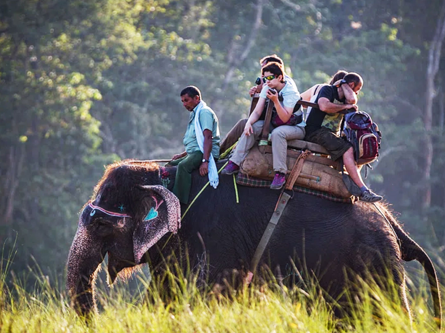 Elephant Safari in Chitwan National Park