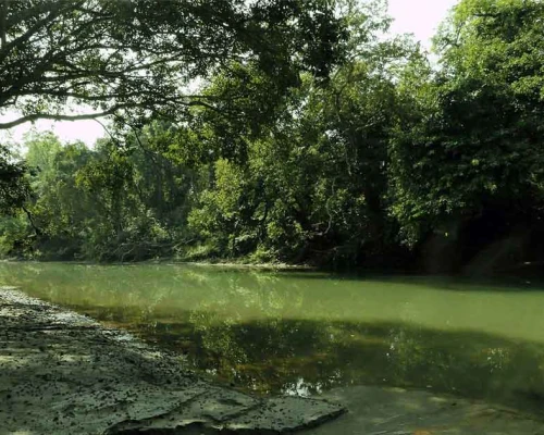 Bardiya National Park