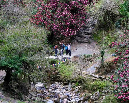 Beautiful Trekking Route From Poonhill To Tadapani 
