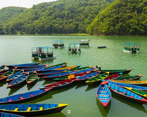 Colorful Boats At Phewa Lake Pokhara 