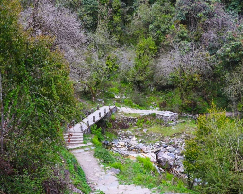 Crossing Small Bride In To The Wood Of Acap 