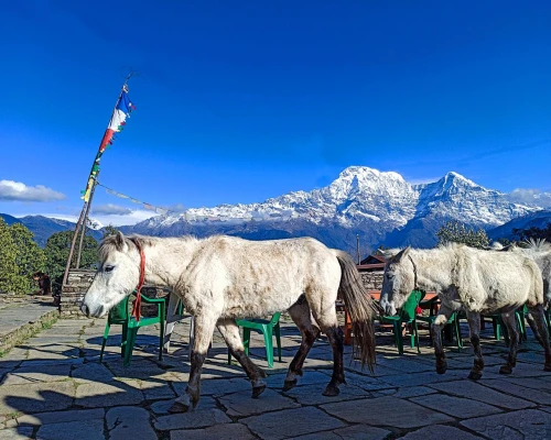 Deurali Village At=mardi Trek Route