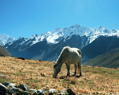 During Langtang Trek, Nepal