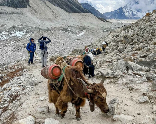 Everest Base Camp Trek D 