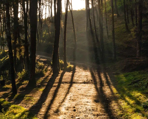 Hiking Trail From Nagarkot To Changu Narayan Temple