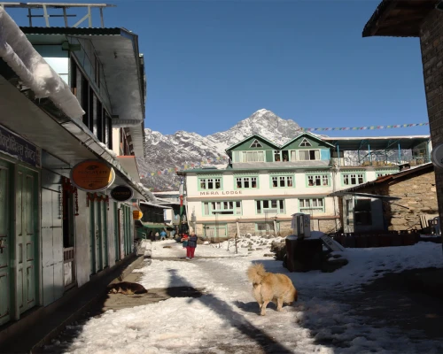 Lukla Village Tour