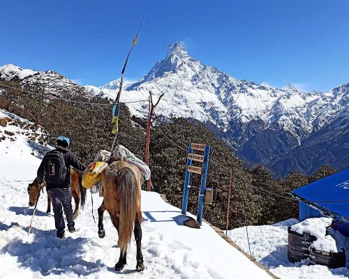 Mardi Himal Trail