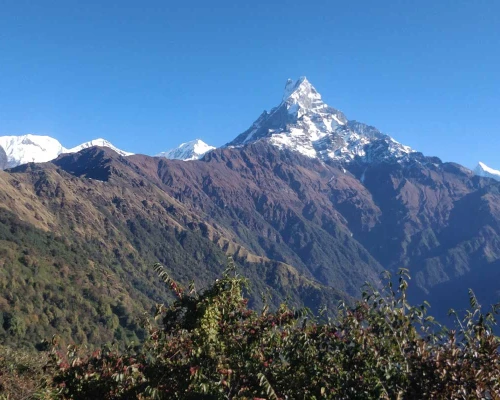 Mardi Himal Trek