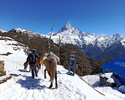 Mardi Low Camp Route In Winter 