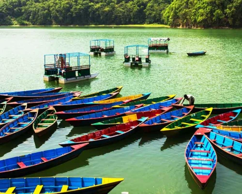 Pokhara S