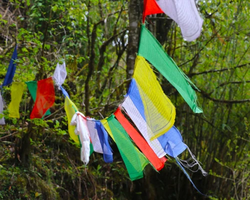 Prayers Flag In Trekking Trail Of Gorepani Poonhill 