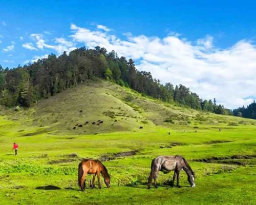 Sinja Valley