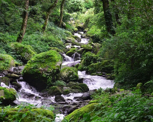 Stream During Gosaikunda Trekking