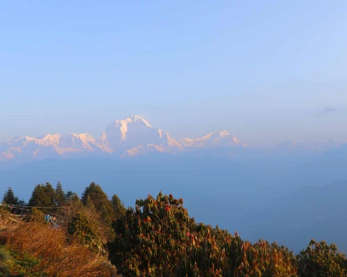 Sunrise Over Annapurna Range 