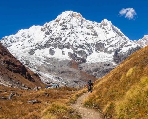 Trekking Back From Annapurna Base Camp