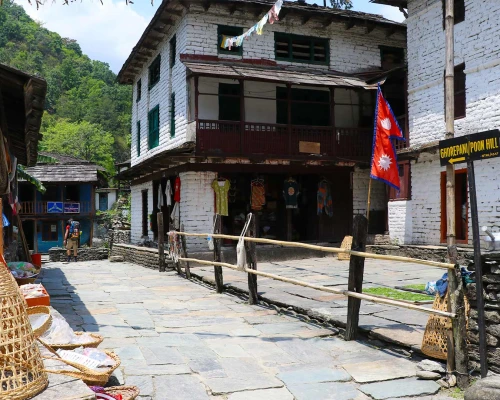 Way To Ghorepani, Poon Hill 