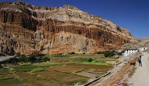 Chhusang Village Travel Guide