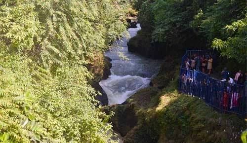World Davis Falls Travel Guide