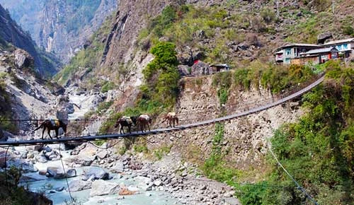 Dharapani Travel Guide