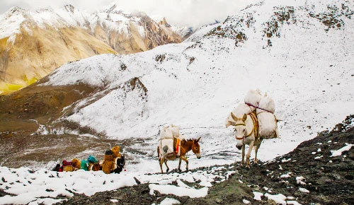 Kang La Pass Travel Guide