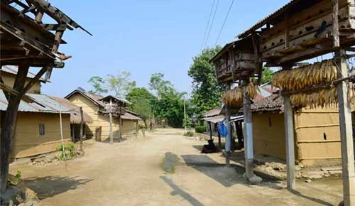 Sauraha Travel Guide